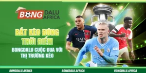 Bắt Kèo Đúng Thời Điểm Bongdalu – Cuộc Đua Với Thị Trường 