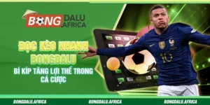 Đọc Kèo Nhanh Bongdalu – Bí Kíp Tăng Lợi Thế Trong Cá Cược