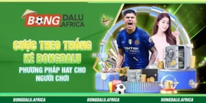 Cược Theo Thống Kê Bongdalu– Phương Pháp Hay Cho Người Chơi