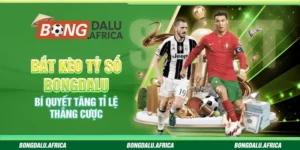 Bắt Kèo Tỷ Số Bongdalu – Bí Quyết Tăng Tỉ Lệ Thắng Cược