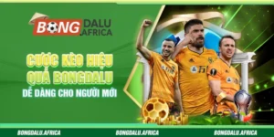 Cược Kèo Hiệu Quả Bongdalu – Dễ Dàng Cho Người Mới