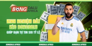Kinh Nghiệm Bắt Kèo Bongdalu - Giúp Bạn Tự Tin Soi Tỷ Lệ