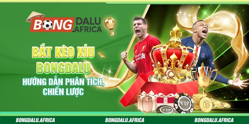 Bắt Kèo Xỉu Bongdalu – Hướng Dẫn Phân Tích, Chiến Lược