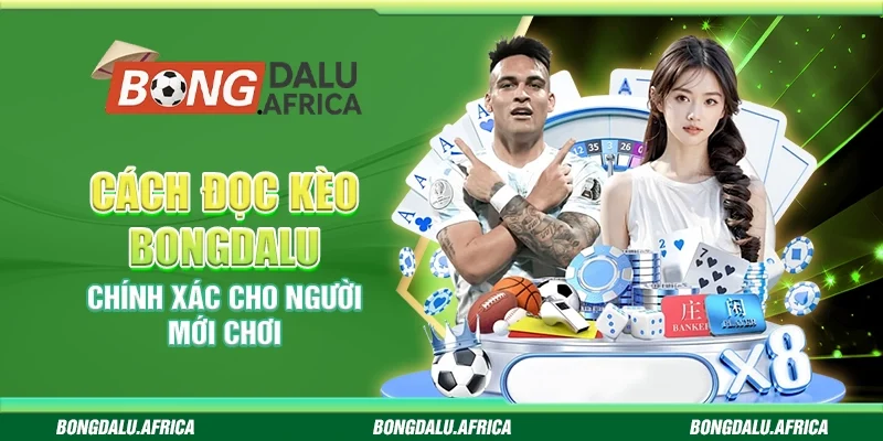 Cách Đọc Kèo Bongdalu – Chính Xác Cho Người Mới Chơi