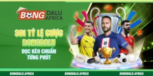 Soi Tỷ Lệ Cược Bongdalu – Đọc Kèo Chuẩn Từng Phút