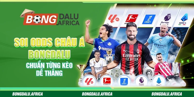 Soi Odds Châu Á Bongdalu – Chuẩn Từng Kèo Dễ Thắng