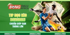Tip Đọc Kèo Bongdalu – Chuẩn Giúp Bạn Thắng Lớn