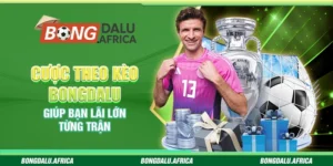 Cược Theo Kèo Bongdalu – Giúp Bạn Lãi Lớn Từng Trận