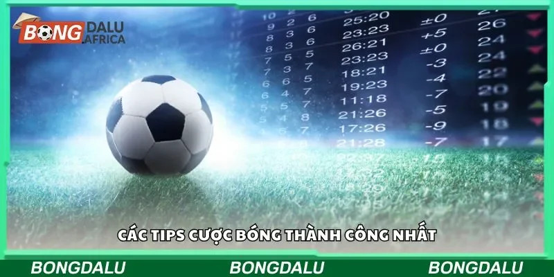 Các tips cược bóng thành công nhất