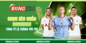 Chọn Kèo Chắc Bongdalu – Tăng Tỷ Lệ Thắng Tức Thì