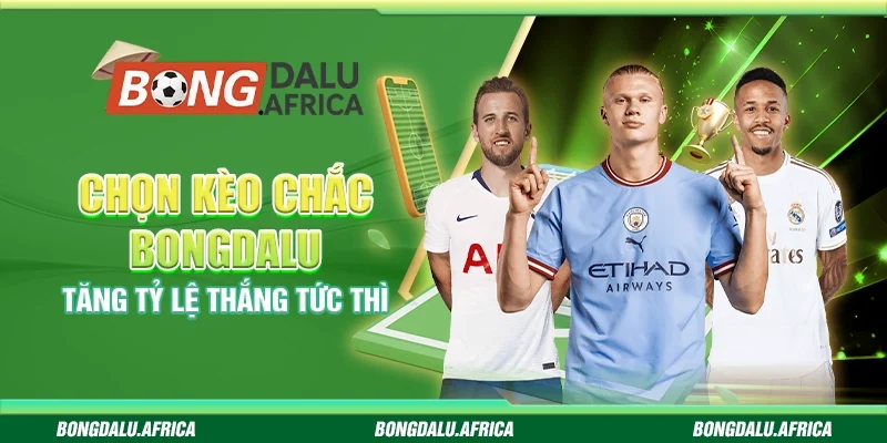 Chọn Kèo Chắc Bongdalu - Tăng Tỷ Lệ Thắng Tức Thì