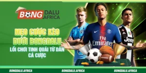 Mẹo cược kèo dưới Bongdalu – Mẹo giúp bạn càn quét ván cược