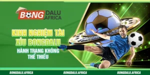 Kinh nghiệm tài xỉu bongdalu - Hành trang không thể thiếu