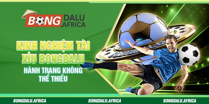 Kinh nghiệm tài xỉu bongdalu – Hành trang không thể thiếu