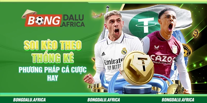 Soi Kèo Theo Thống Kê Bongdalu  – Phương Pháp Cá Cược Hay