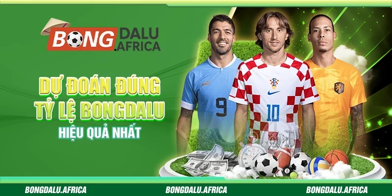 Dự Đoán Đúng Tỷ Lệ Bongdalu – Hiệu Quả Nhất