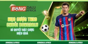 Mẹo Cược Theo Chuỗi Bongdalu - Bí Quyết Đặt Cược Hiệu Quả