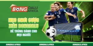 Mẹo Chơi Cược Xiên Bongdalu – Dễ Trúng Dành Cho Mọi Người