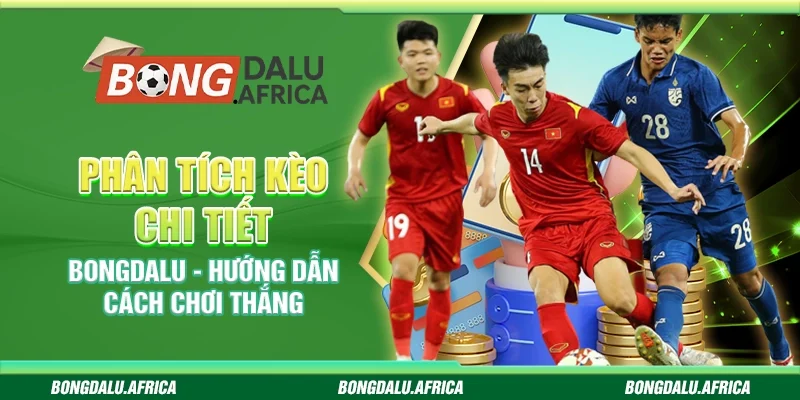 Phân Tích Kèo Chi Tiết Bongdalu – Hướng Dẫn Cách Chơi Thắng