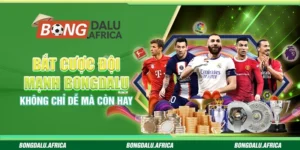Bắt Cược Đội Mạnh Bongdalu – Không Chỉ Dễ Mà Còn Hay