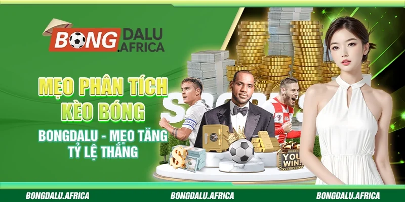 Mẹo phân tích kèo bóng Bongdalu – Mẹo tăng tỷ lệ thắng 