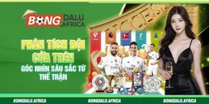 Phân tích đội cửa trên bongdalu – Góc nhìn sâu sắc từ thế trận
