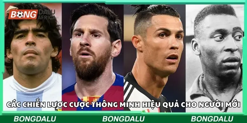 Hướng dẫn cược thông minh cho newbie