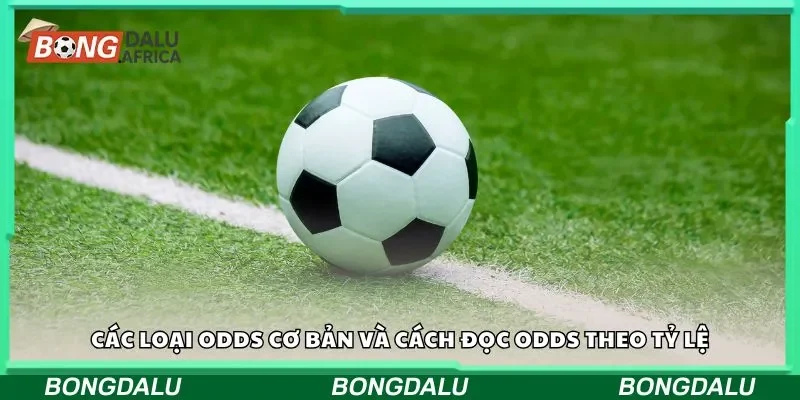 Các loại odds cơ bản và cách đọc theo tỷ lệ