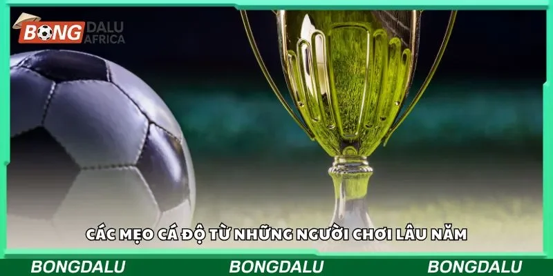 Một số lỗi sai khi dùng các mẹo cá cược nên biết