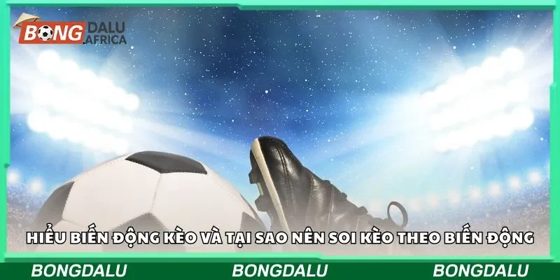 Hiểu biến động kèo và tại sao nên soi kèo theo biến động