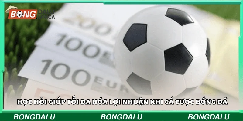Học hỏi giúp tối đa hóa lợi nhuận khi cá cược bóng đá