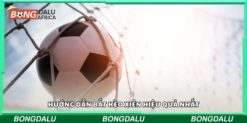 Hướng dẫn bắt kèo xiên hiệu quả nhất