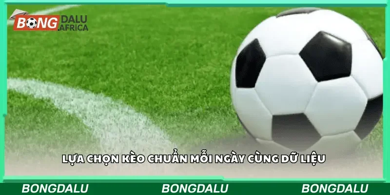 Lựa chọn kèo chuẩn mỗi ngày cùng dữ liệu 