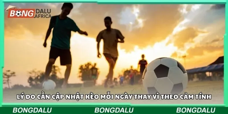 Lý do cần cập nhật kèo mỗi ngày thay vì theo cảm tính