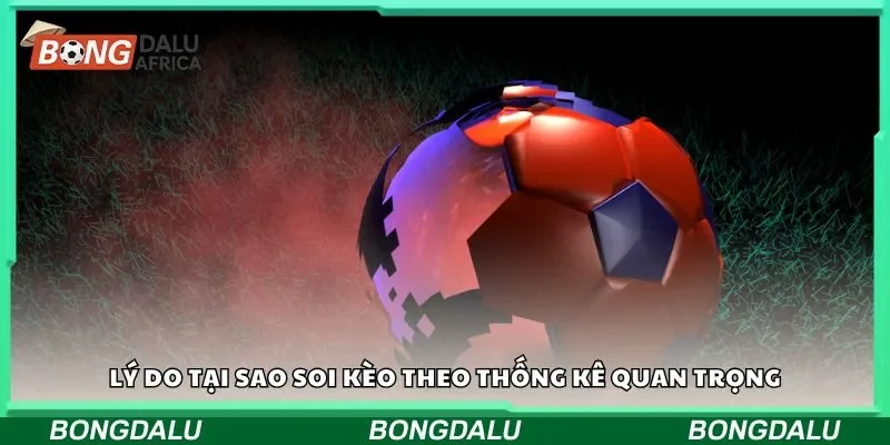 Lý do tại sao soi kèo theo thống kê quan trọng