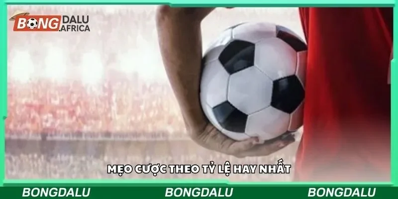 Mẹo cược theo tỷ lệ hay nhất