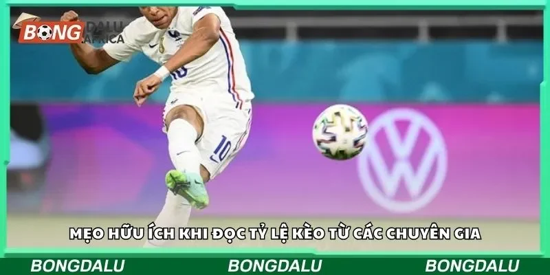 Mẹo hữu ích khi tham gia tỷ lệ kèo từ các chuyên gia