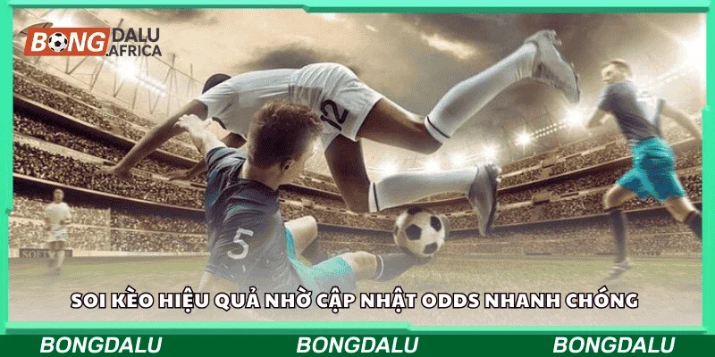 Soi kèo hiệu quả nhờ cập nhật odds nhanh chóng