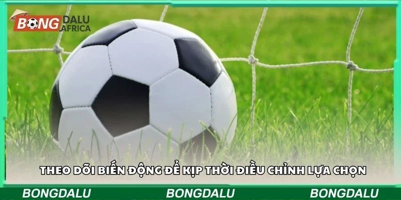 Theo dõi biến động để kịp thời điều chỉnh lựa chọn