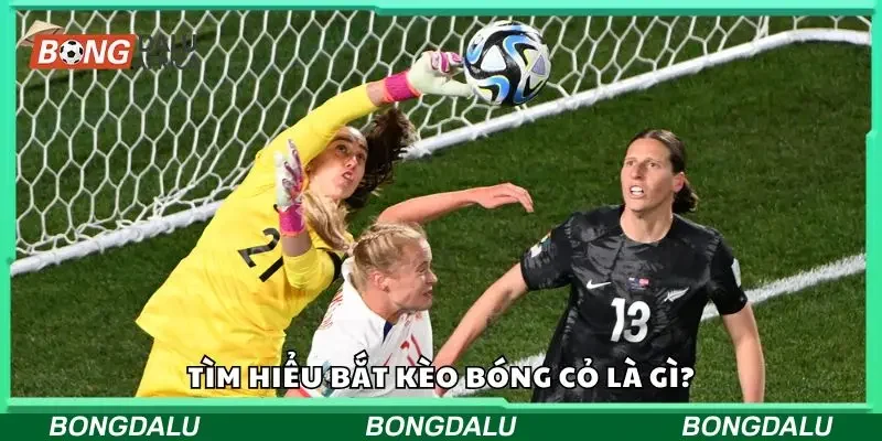 TÌm hiểu về bắt kèo bóng cỏ