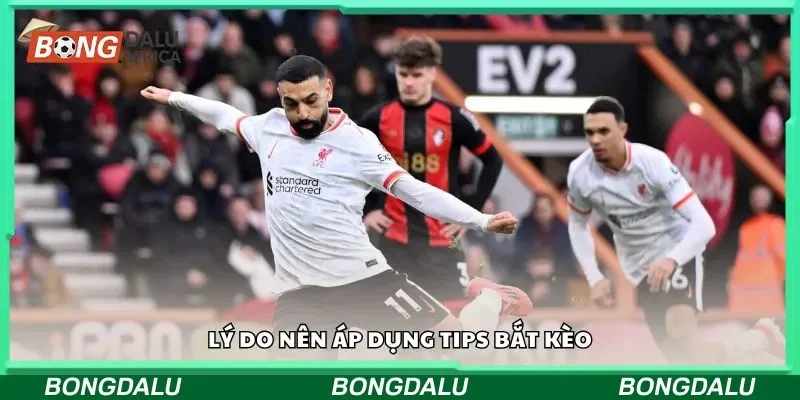Lý do nên áp dụng tips bắt kèo