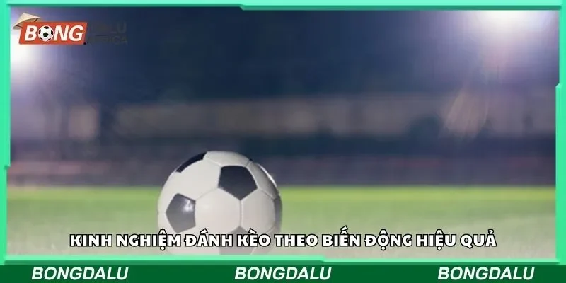 Kinh nghiệm đánh kèo theo biến động hiệu quả