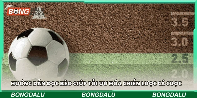 Hướng dẫn đọc kèo giúp tối ưu hóa chiến lược cá cược