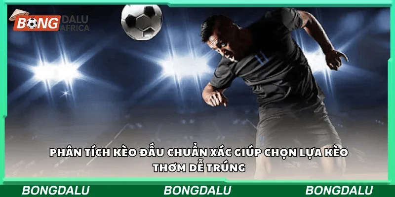 Phân tích kèo đấu chuẩn xác giúp chọn lựa kèo thơm dễ trúng