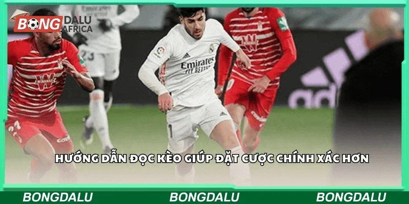 Hướng dẫn đọc kèo giúp đặt cược chính xác hơn