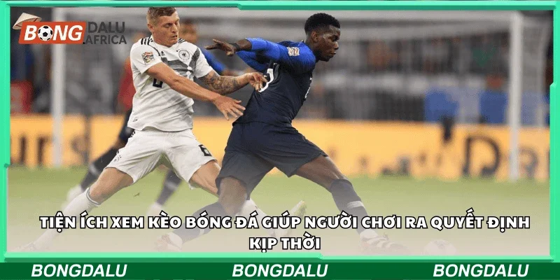 Tiện ích xem kèo bóng đá giúp người chơi ra quyết định kịp thời