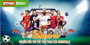 Con Số Biết Nói – Nguồn Gốc Tin Tức Thể Thao Của Bongdalu 