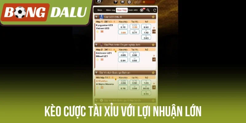 Kèo cược tài xỉu với lợi nhuận lớn